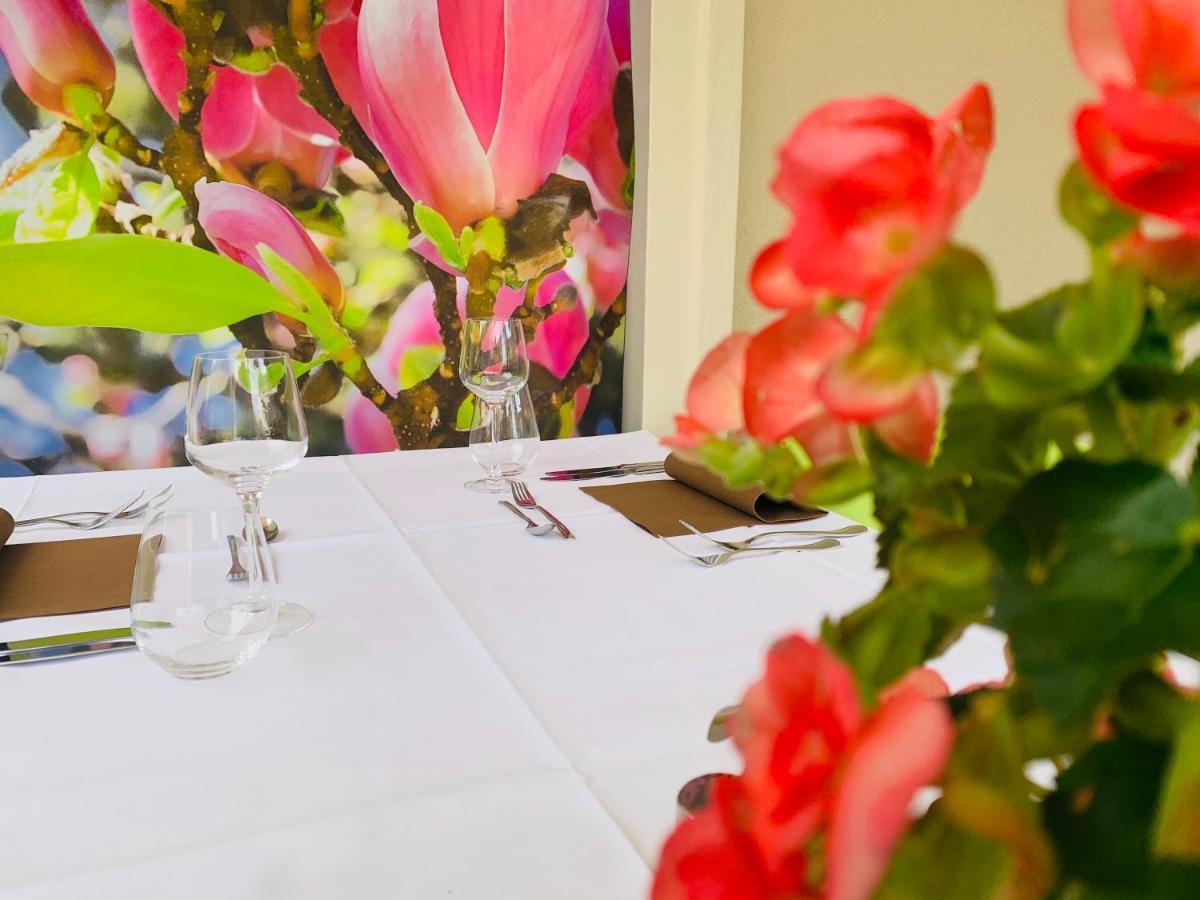Zu Den Linden - Radebeul Pension Mit Restaurant エクステリア 写真